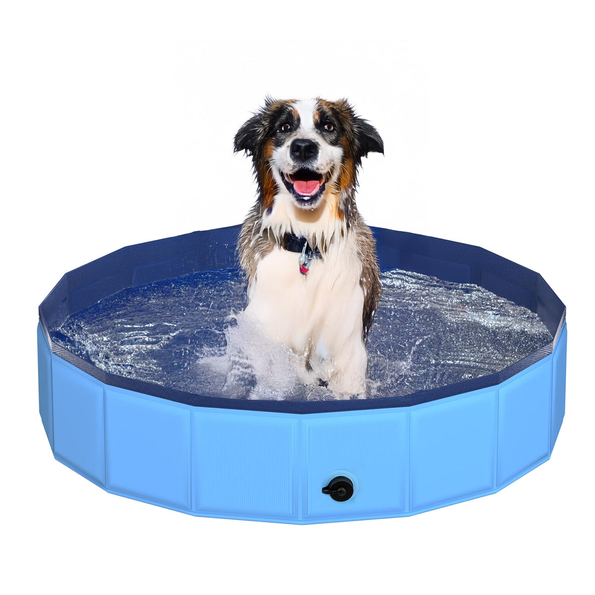CACSPS dog pool drain-valve closeup for quick water release