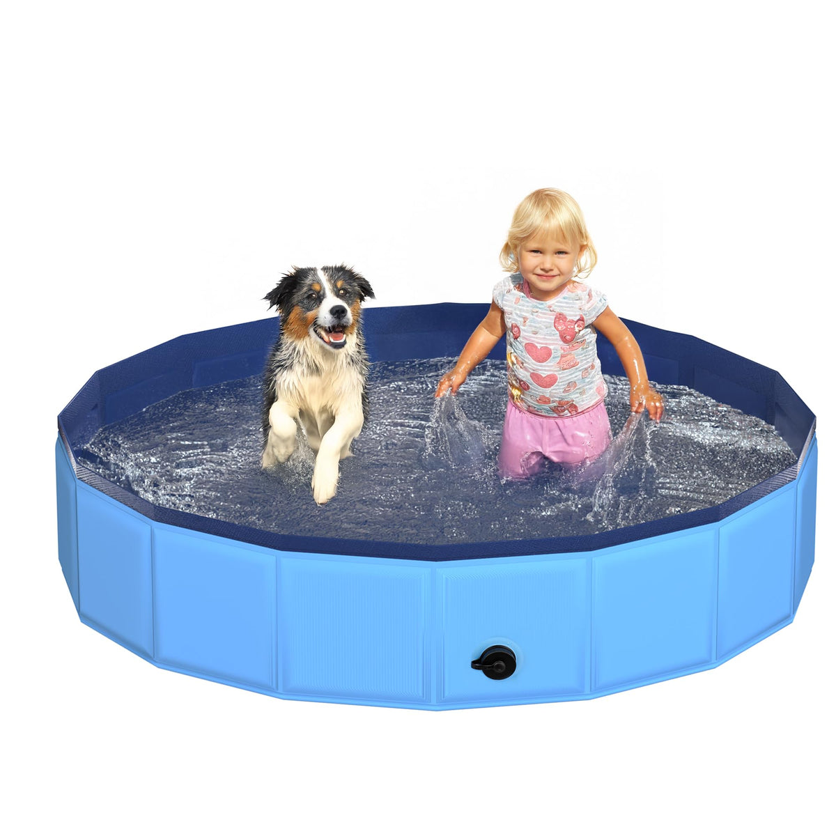 CACSPS foldable dog pool showing compact storage and quick setup