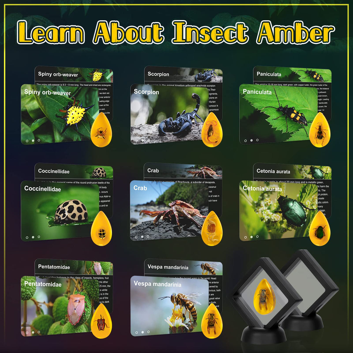 Cameparck Bigger Amber Dig Kit discovery moment encourages hands-on learning.