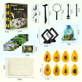 Cameparck Bigger Amber Dig Kit display case showcases discoveries neatly.