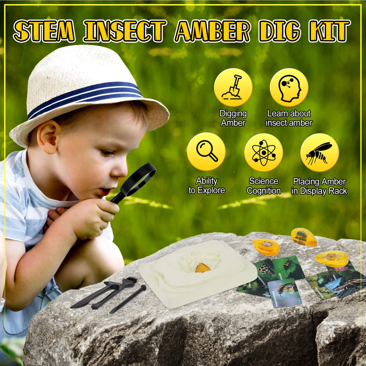 Cameparck Bigger Amber Dig Kit insect specimens provide engaging learning moments.