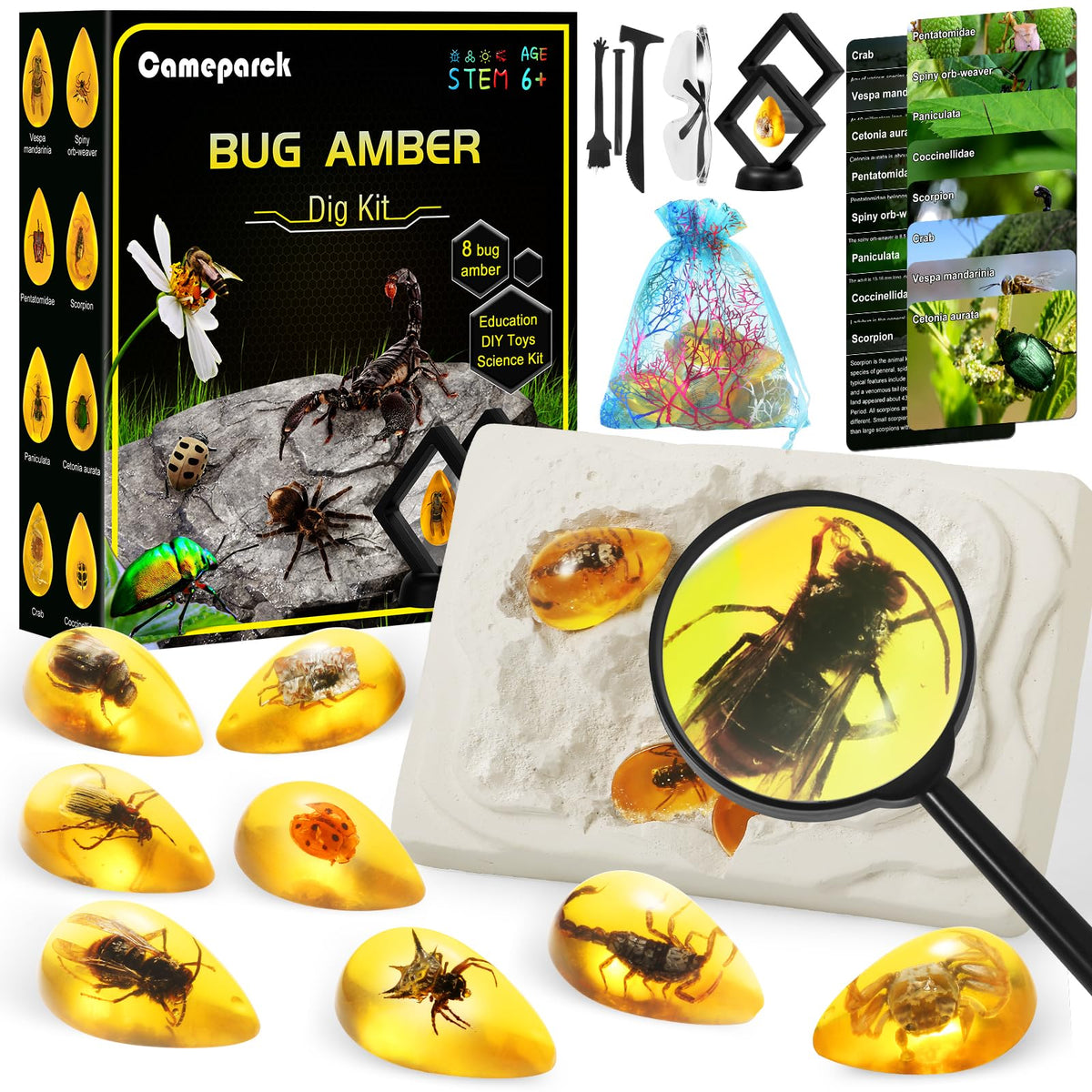 Cameparck Bigger Amber Dig Kit opening scene sparks curiosity and exploration.