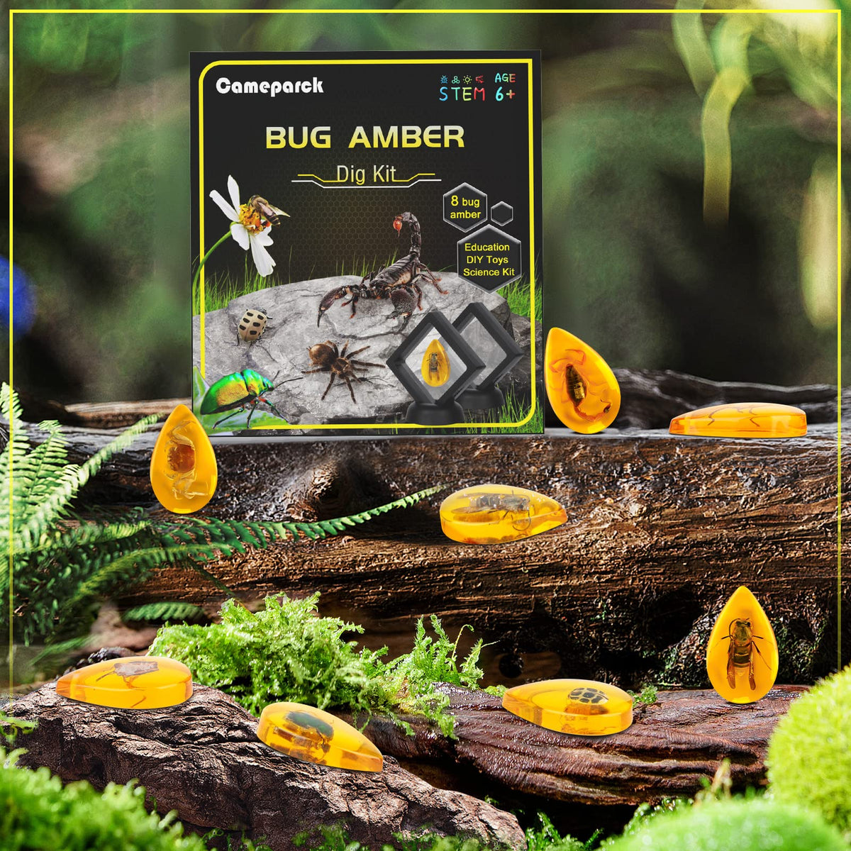 Cameparck Bigger Amber Dig Kit safe, parent-approved STEM activity.
