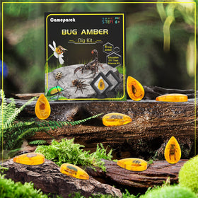 Cameparck Bigger Amber Dig Kit safe, parent-approved STEM activity.