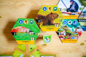 Capstone Games Sanctuary double-sided player boards enable varied strategies.