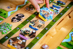Capstone Games Sanctuary hand-management emphasizes planning across rounds.