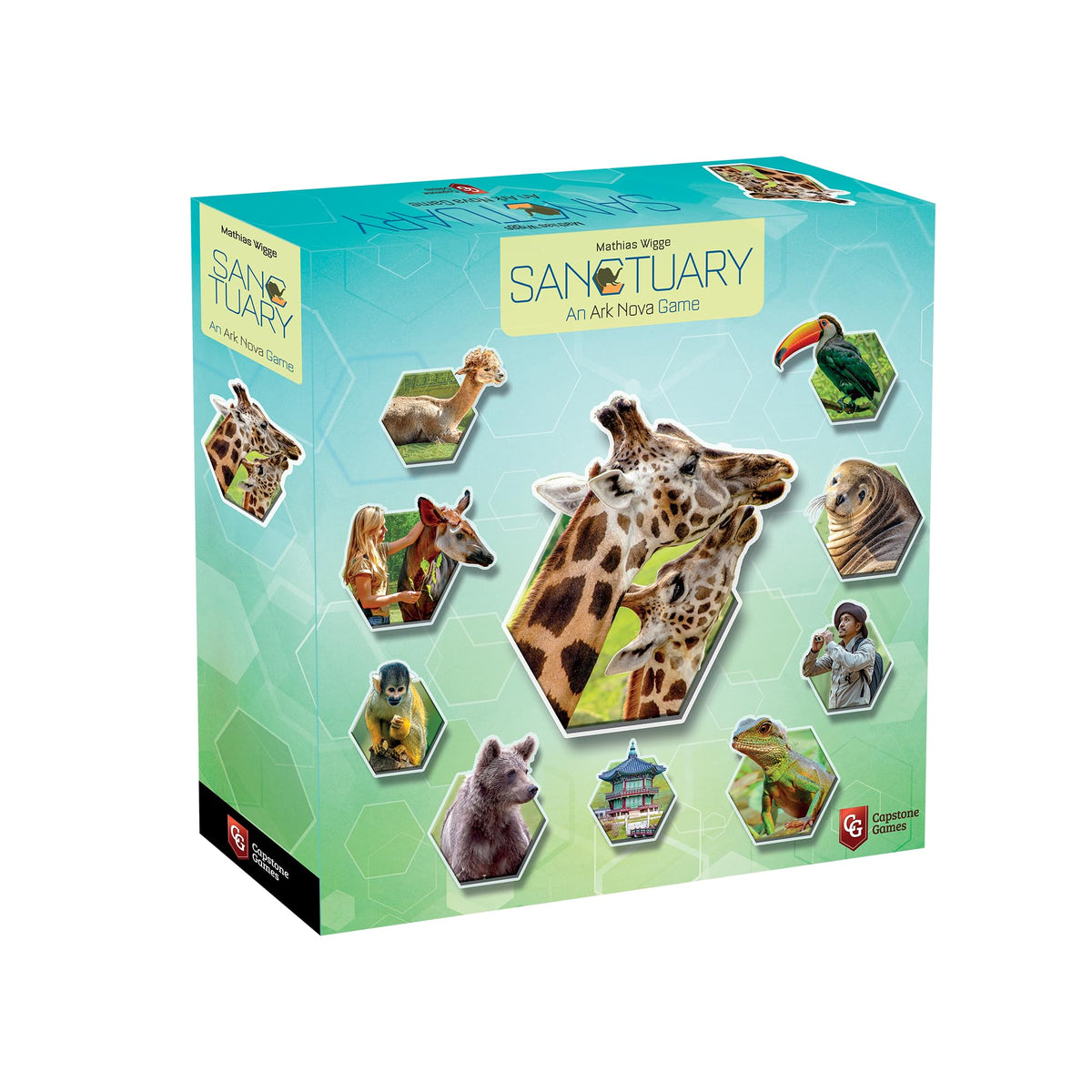 Capstone Games Sanctuary tile-draft showcases strategic placement for a thriving zoo.