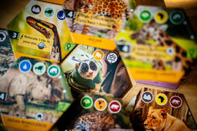 Capstone Games Sanctuary two-player night setup for engaging family play.