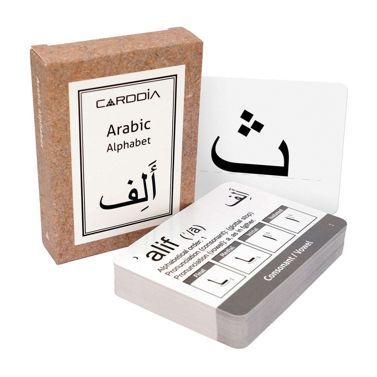CARDDIA Arabic flashcards front design with bold letters for quick recognition