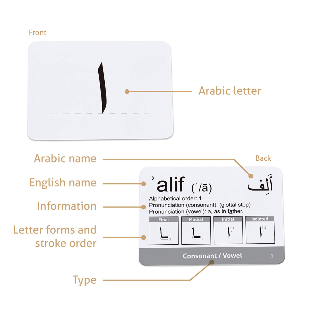CARDDIA Arabic flashcards include vowels and numerals for comprehensive practice