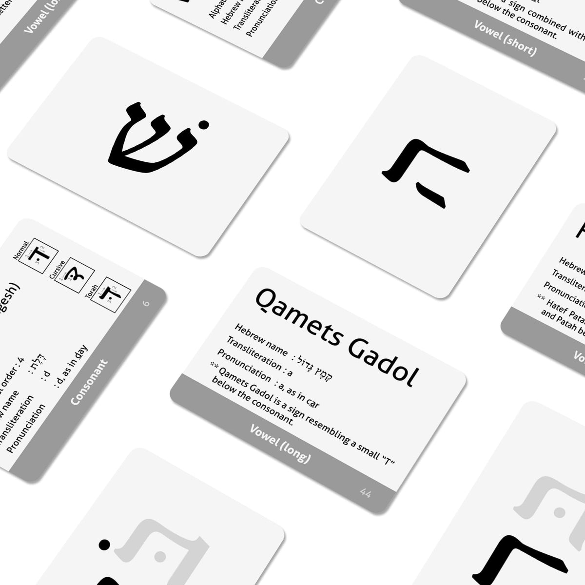 CARDDIA flashcards back shows names, stroke order, and transliteration for reference.