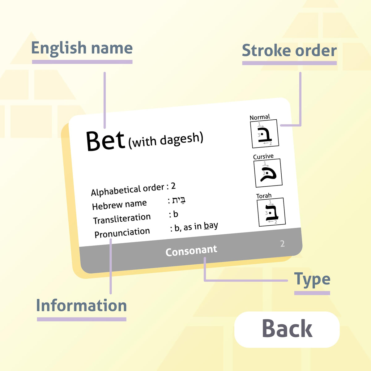 CARDDIA flashcards compare book, bold, and Torah styles for study variety.