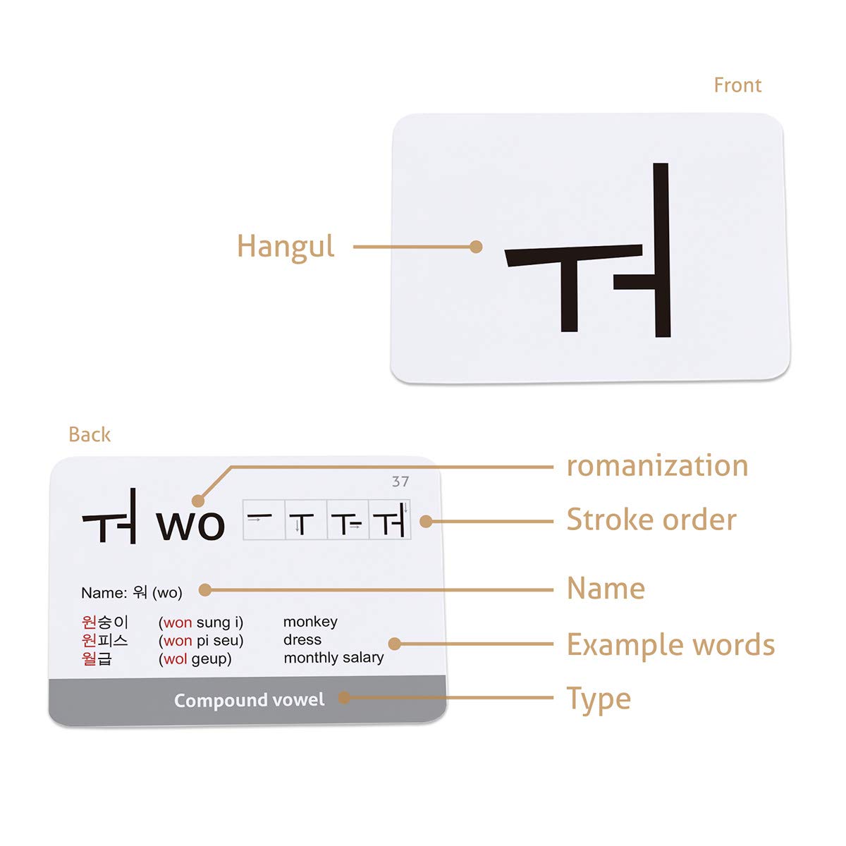 CARDDIA Hangul flashcards compact size for on-the-go practice