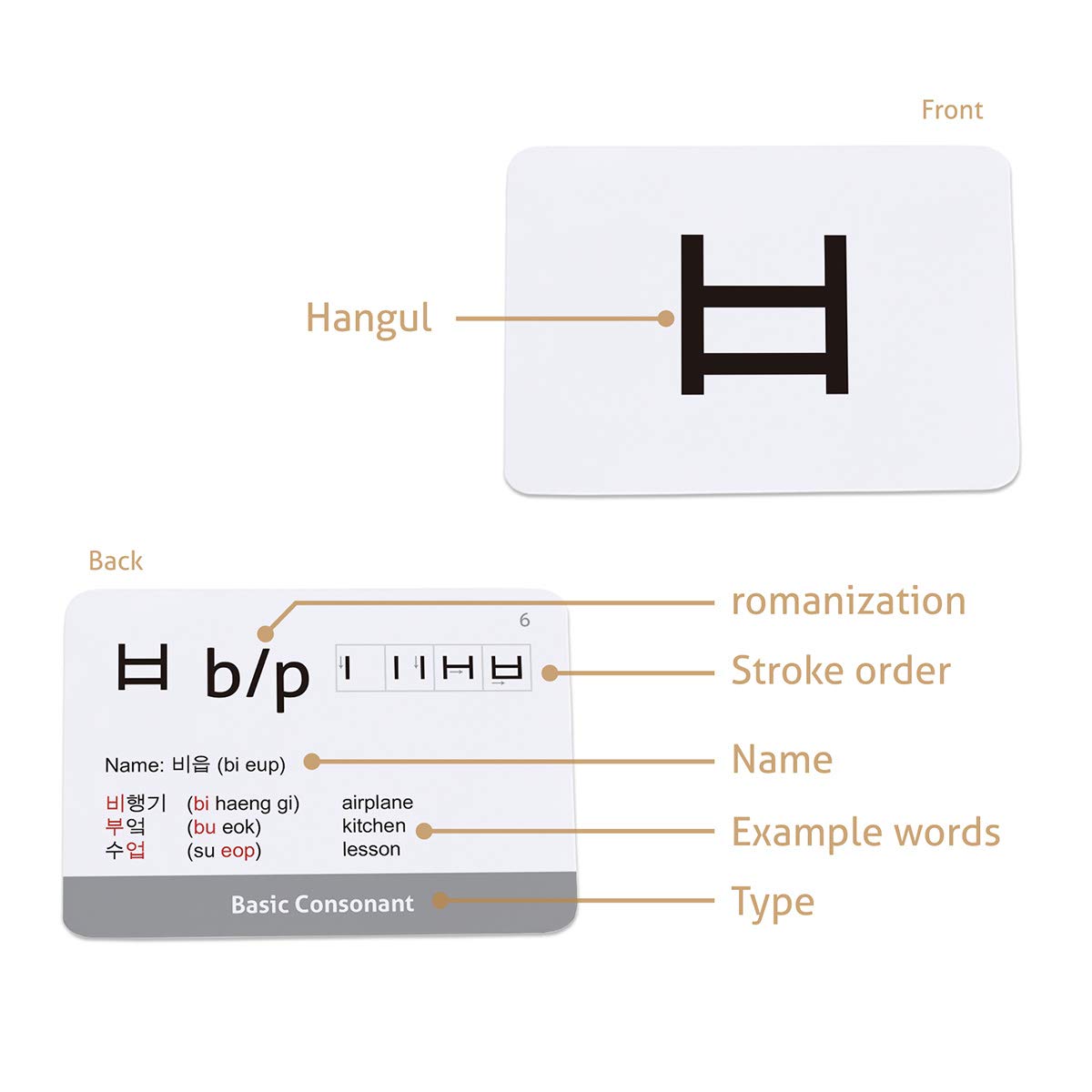 CARDDIA Hangul flashcards durable paper texture for long-lasting study