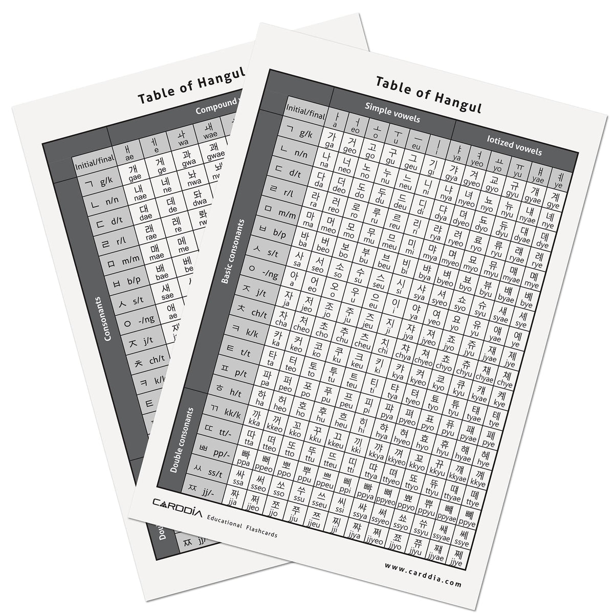 CARDDIA Hangul flashcards front-character view for practice with key consonants