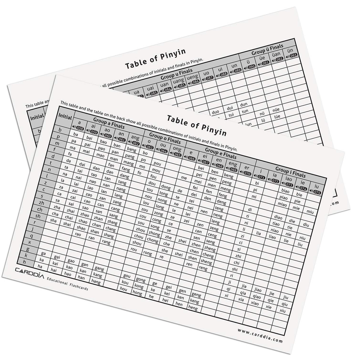 CARDDIA Pinyin Flashcards example words illustrate real-world usage and context.