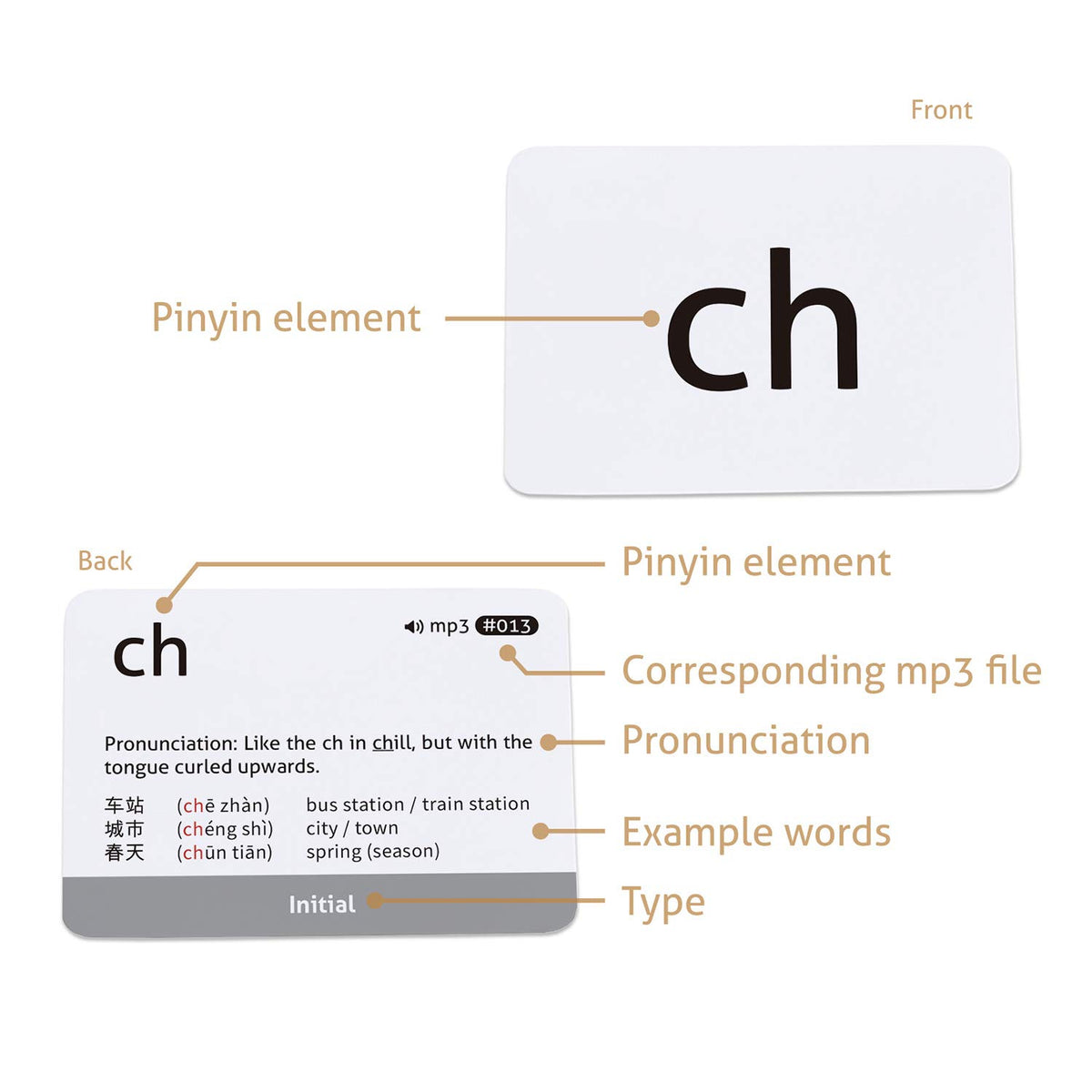 CARDDIA Pinyin Flashcards compact size fits in bags for on-the-go study.