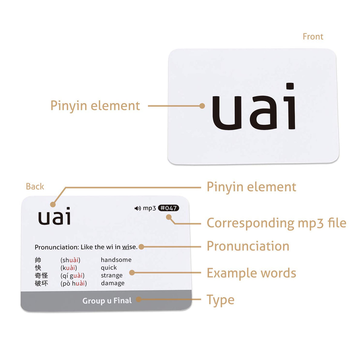 CARDDIA Pinyin Flashcards lifetime warranty ensures lasting learning tools.
