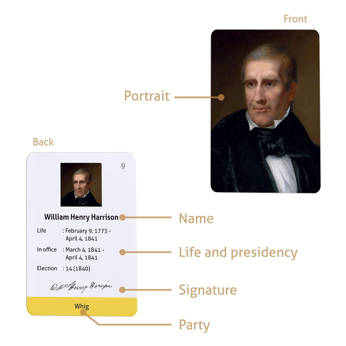 CARDDIA Presidents flashcards durable coated paper withstands frequent use.