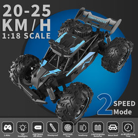 Carox RC car on mixed off-road surfaces for versatile fun