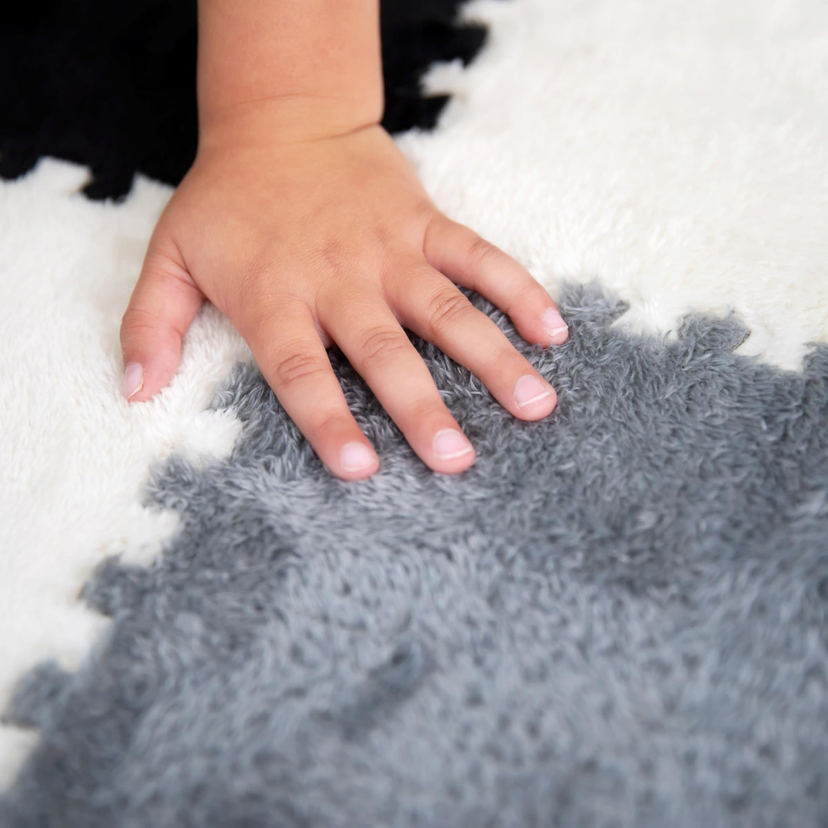 CARPETBOX color option in black gray white complements decor