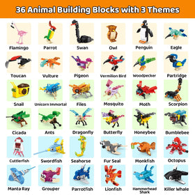 CASRRA classroom rewards display with engaging blocks.