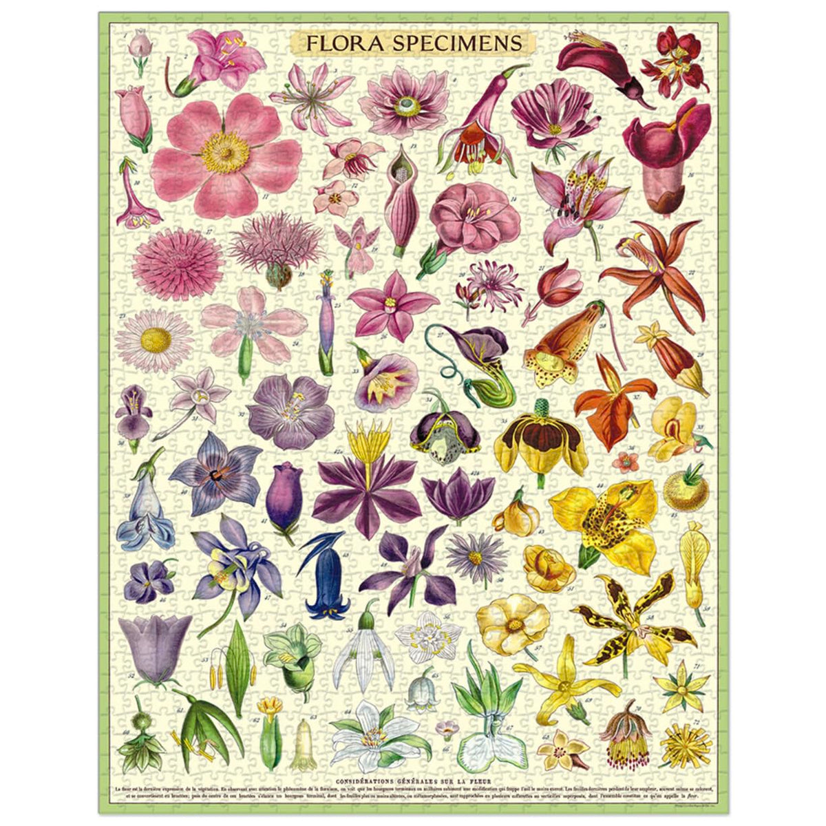 Cavallini & Co Flora Specimens Puzzle with handsewn muslin bag for organized play.