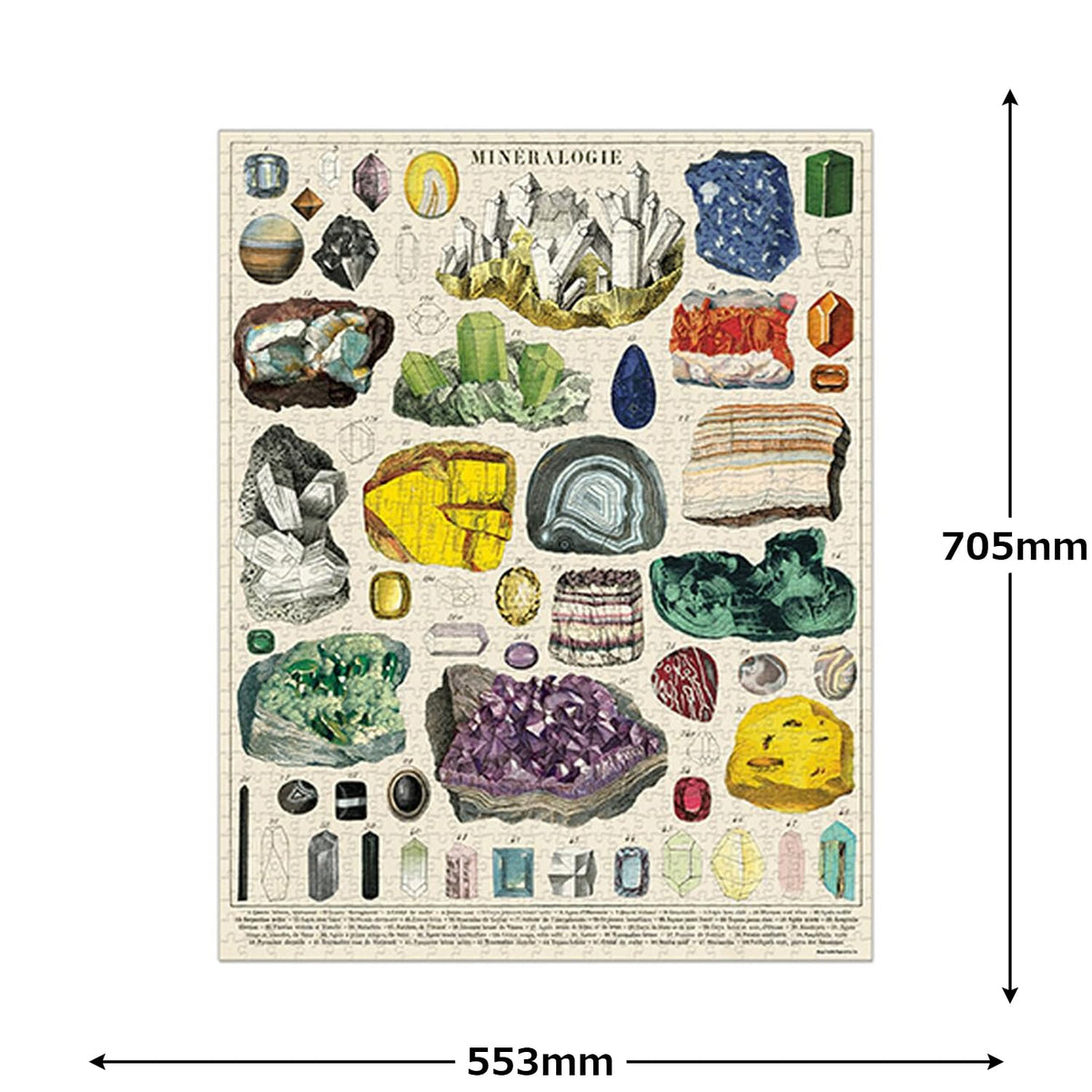 Cavallini & Co. Mineralogie finished puzzle size 20x28 inches in vintage style.