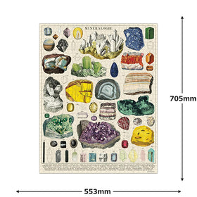Cavallini & Co. Mineralogie finished puzzle size 20x28 inches in vintage style.