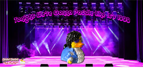 CelebriDucks-collectible-duck-box-art adds colorful shelf display.