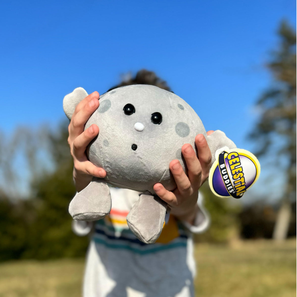 Celestial Buddies Moon Buddy classroom-use scene supporting STEM storytelling.