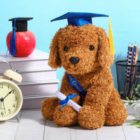 Chalyna diploma hat plush closeup for milestone display