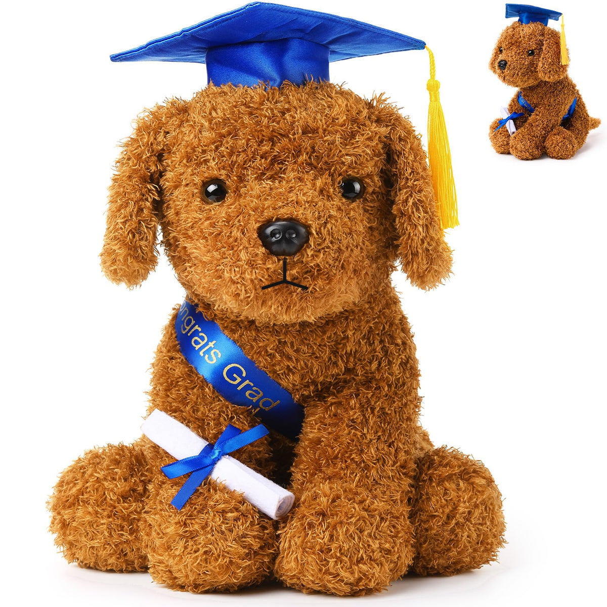Chalyna graduation dog plush with hat and diploma for keepsakes