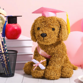 Chalyna pink graduation dog plush as a thoughtful kindergarten gift
