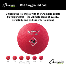 Versatile Champion Sports playground ball available in multiple sizes for youth and adults.