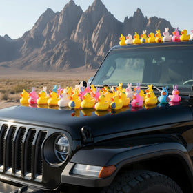 Cherislpy floating bath toys ducks that glide during bath time.