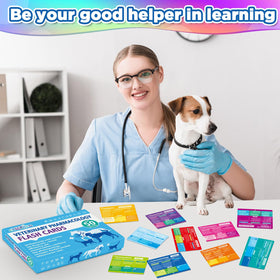 Compact flashcards bundle held in hand showing easy portability