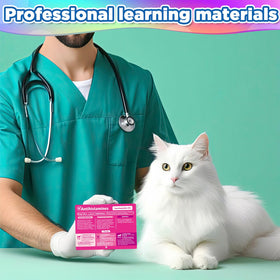 Equine pharmacology card beside a stethoscope illustrating practical study use