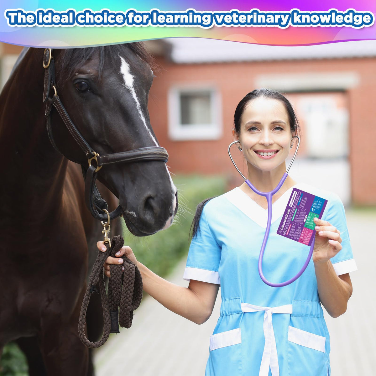 Gift-ready veterinary pharmacology study set ideal for students and new staff
