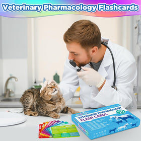 Vet student studying pharmacology with flashcards in a clinic or classroom