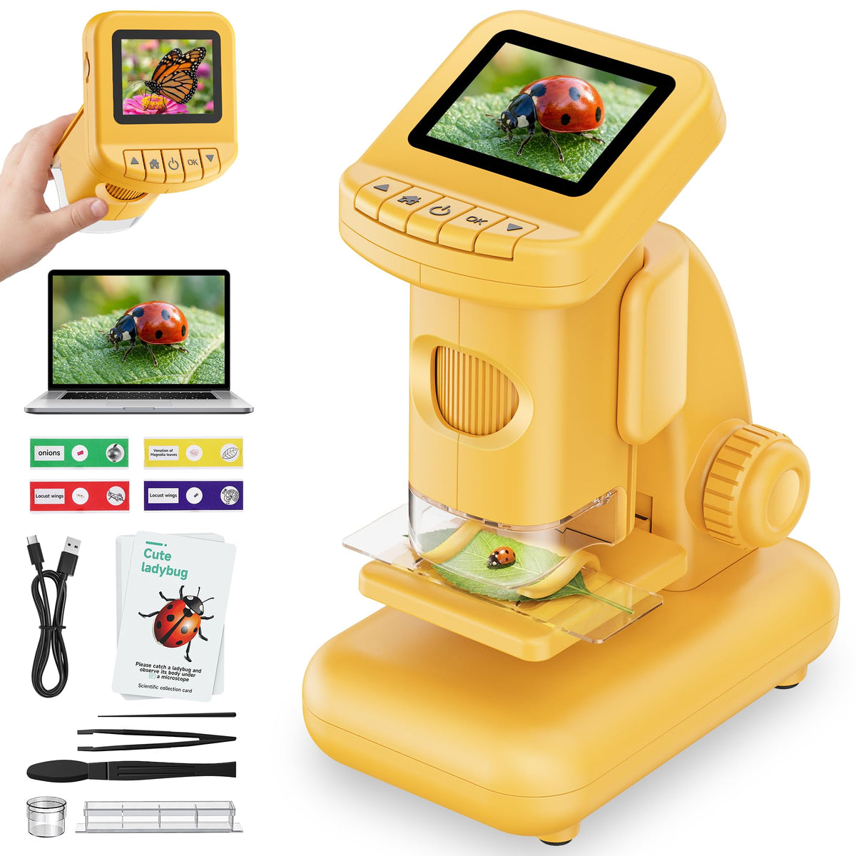 CIGXAVO 1200x handheld microscope provides detailed magnification for hands-on outdoor exploration.