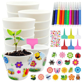 Cinrobiye pot kit with 30 pots for colorful spring decorating projects.