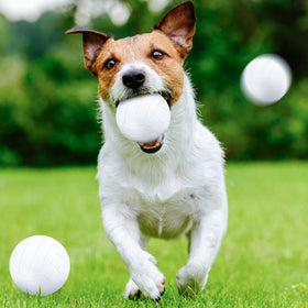 Civaner mini volleyball stress ball, white, ideal for kids and crowd games.