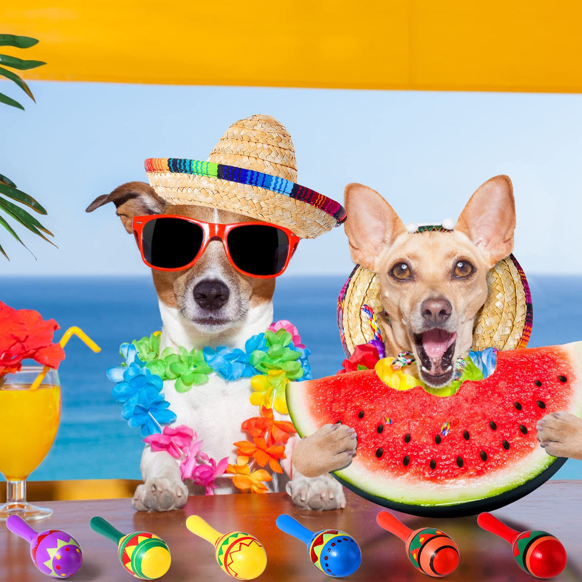 Civaner colorful props for photos creating cheerful Mexican-themed ambiance