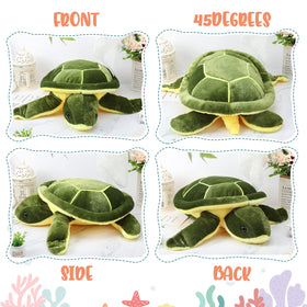 Civaner vacuum-packed turtle awaiting fluffing to restore plushiness