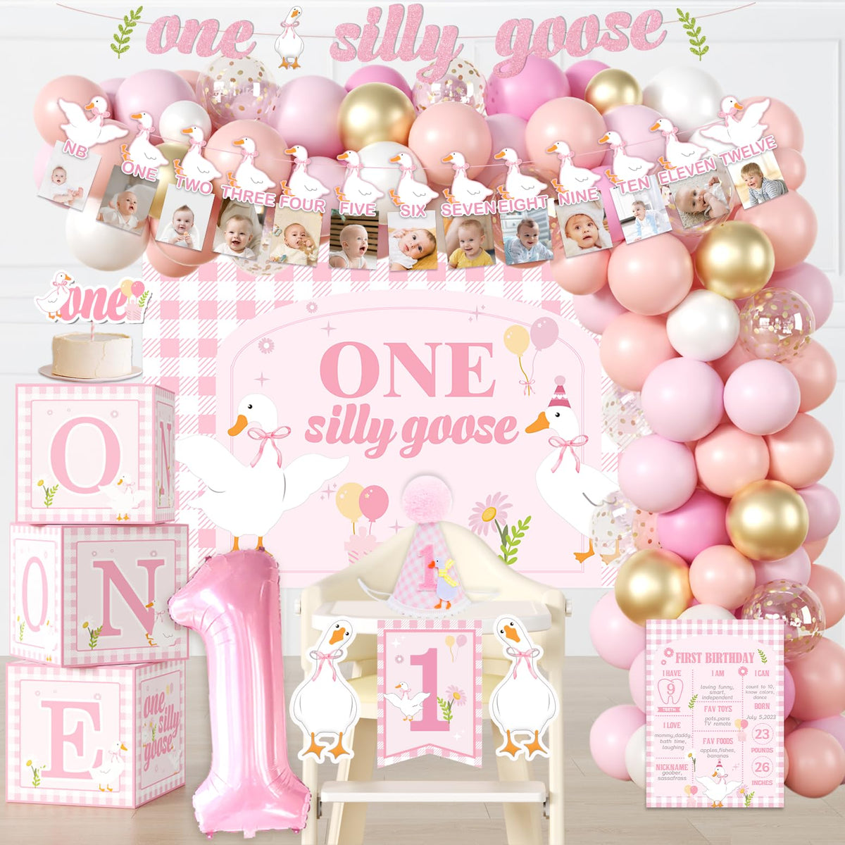 Cocomigo one silly goose banner photo for first birthday memories