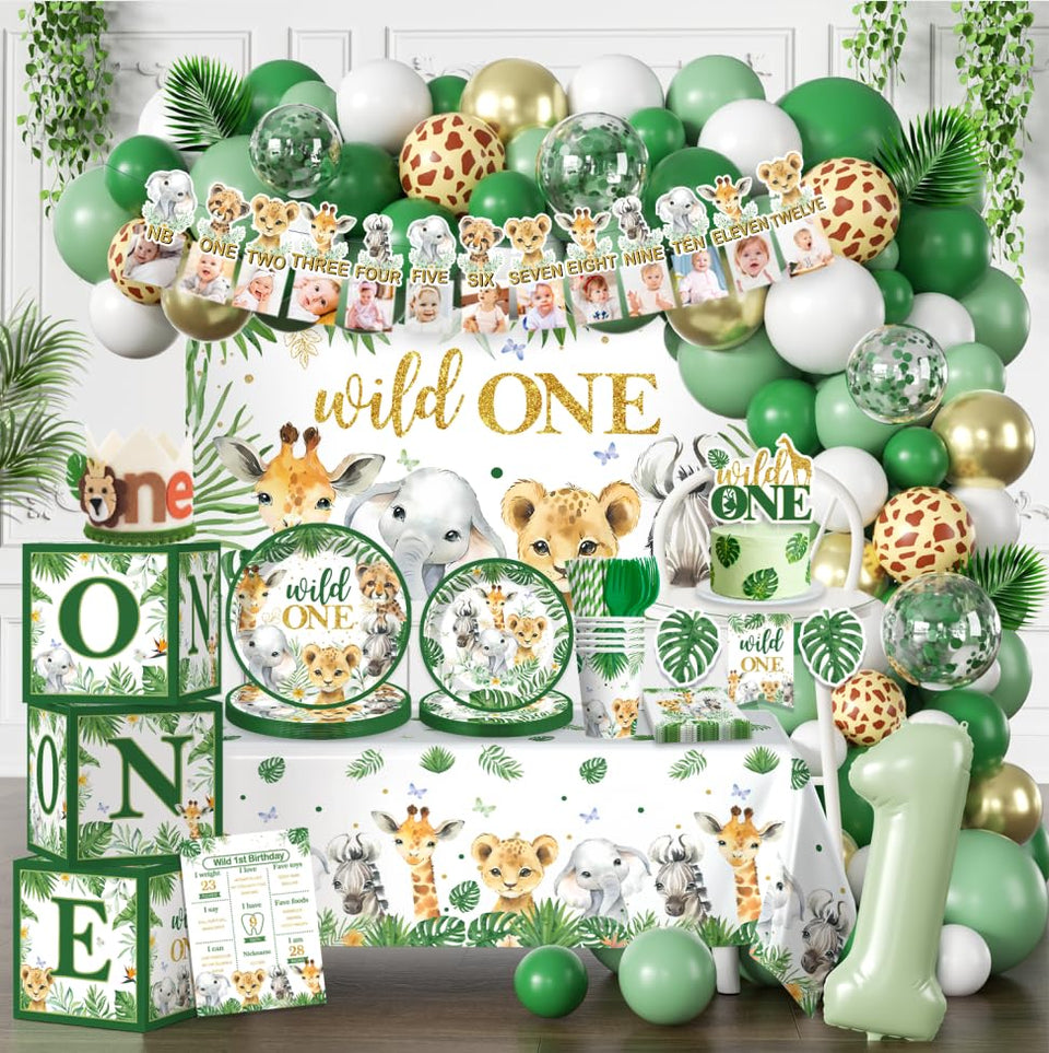 Cocomigo Wild One banner enhances party vibe with bold colors