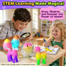 Coodoo outdoor sunny play with unicorn toys inspires imagination