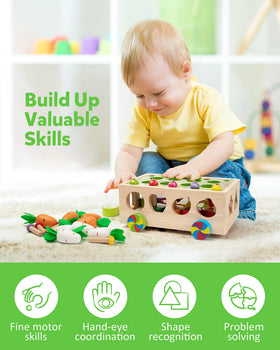 Coogam colorful mushrooms ideal for sorting activities and sensory play.