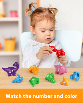 Coogam dinosaur number matching set aids fine motor skills during play.